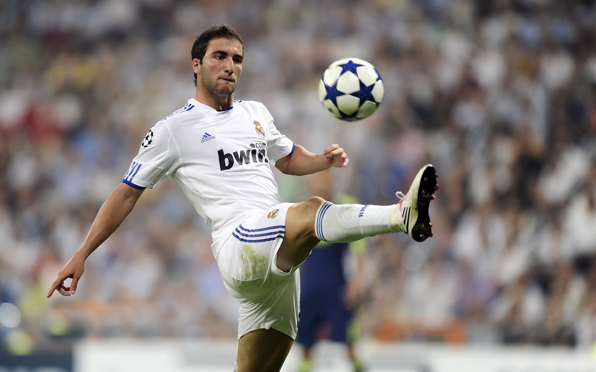 开云入口-恒大引进外援加强实力，球迷期待新赛季表现，恒大外援有哪些名单