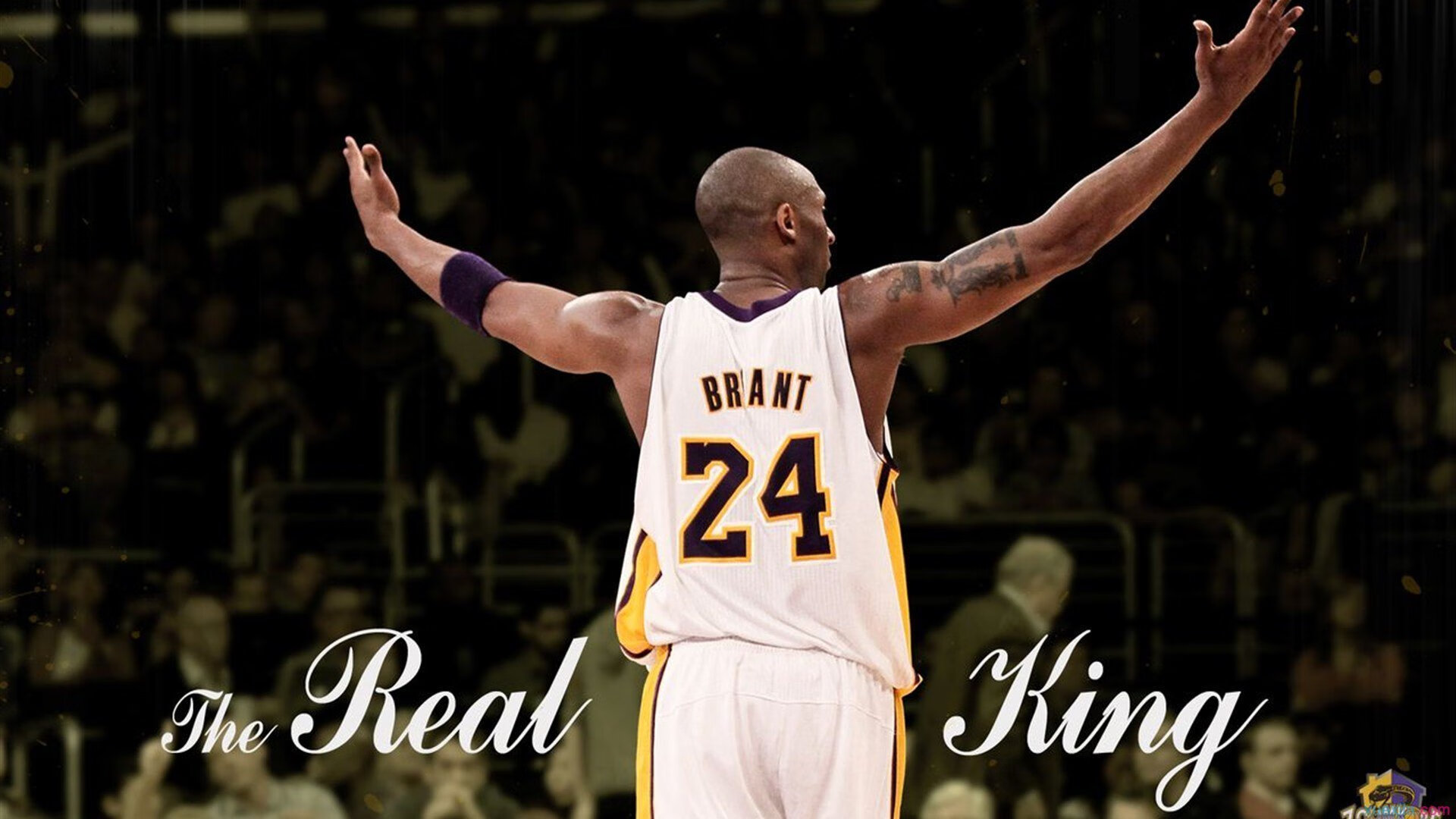 体育纪录片内容更加丰富,体育纪录片主题